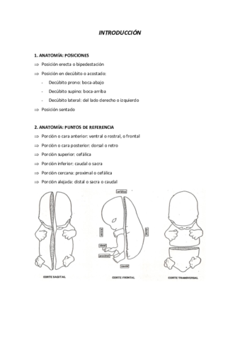 INTRODUCCION.pdf
