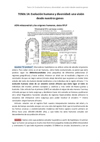 TEMA-14-1.pdf