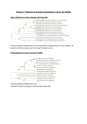 Ejercicios-practica-3.pdf