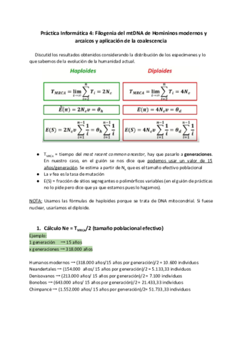 Ejercicios-practica-4.pdf