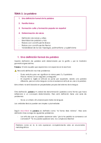 Tema-3-La-palabra-formacion-raices.pdf