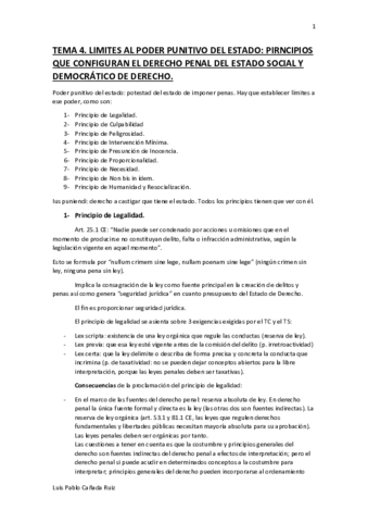 Tema 4. Principios.pdf