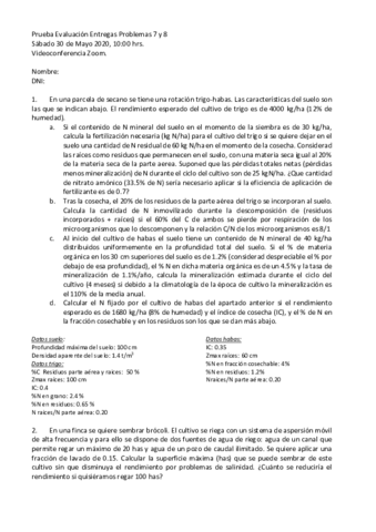 3o-Examen-Problemas-Enunciado.pdf