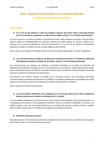 DM-TEMA-5-II-CUESTIONARIO.pdf