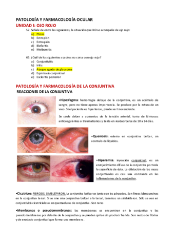 Patologia-preguntas-x-temas.pdf
