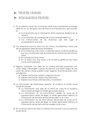 Autoevaluacion-Percepcion-PyA.pdf