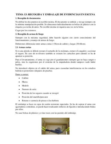 Tema-13.pdf