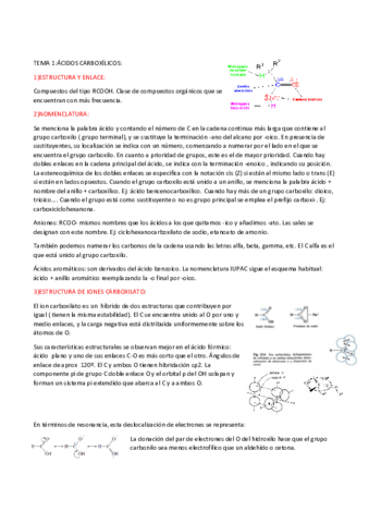 tema-1-resumen.pdf