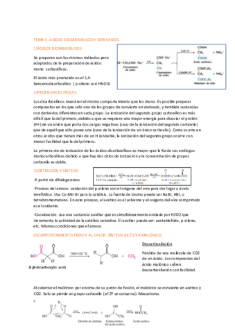 resumen-tema-5.pdf