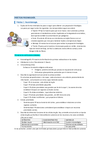 PRACTICAS-PSICOBIOLOGIA.pdf