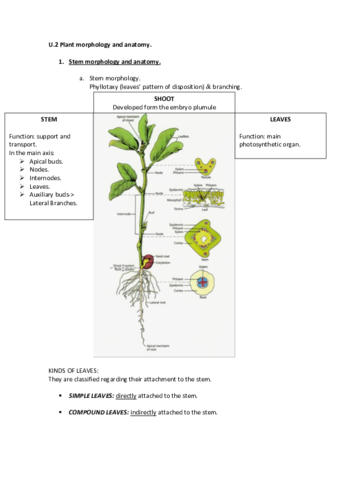 U.2 PLANT PHYSIOLOGY