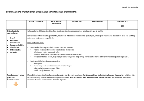 BACILOS-GRAM-NEGATIVOS-resumen.pdf