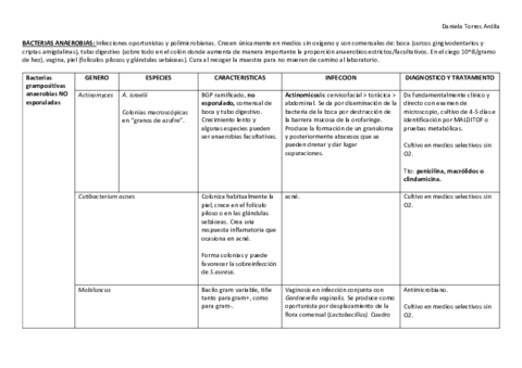 GRAM-ESPORULADAS-resumen.pdf
