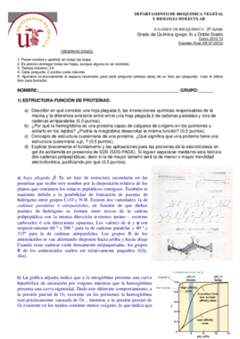 Examen Final 12 13 con soluciones.pdf
