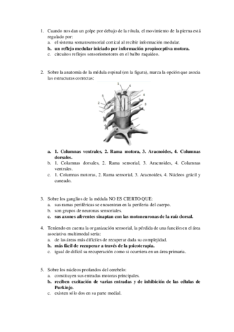 examen-prueba-ii.pdf