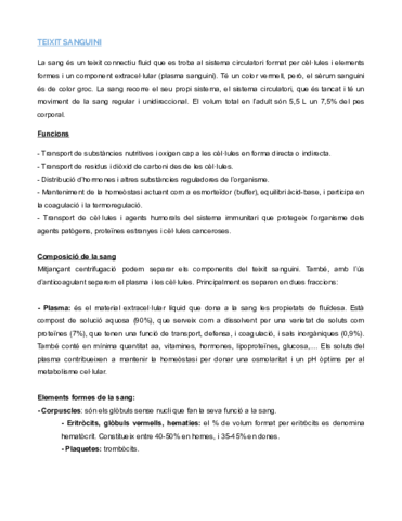 TEIXIT-SANGUINI-Documentos-de-Google.pdf