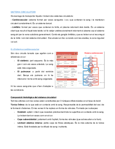 SISTEMA-CIRCULATORI-Documentos-de-Google.pdf