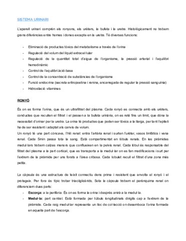 SISTEMA-URINARI-Documentos-de-Google.pdf