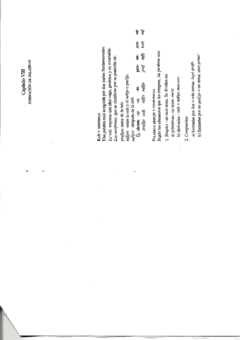 Formaciondepalabras.pdf