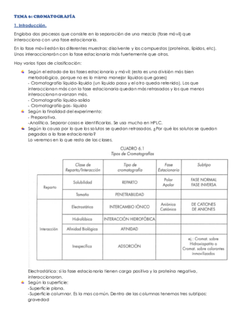 TEMA-6.pdf