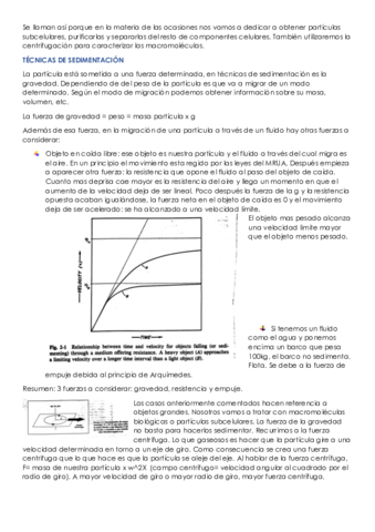 Tema-5.pdf