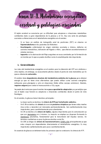 Tema-11A.pdf