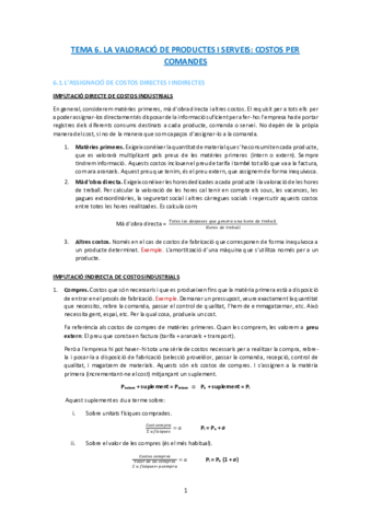 APUNTS-TEMA-6.pdf