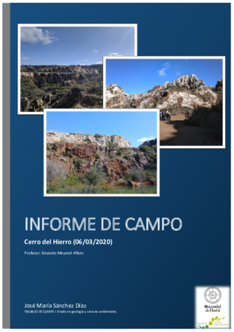 Informe-Cerro-del-Hierro.pdf