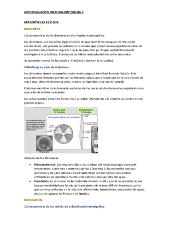 2.pdf