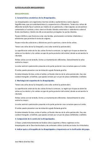 11.pdf