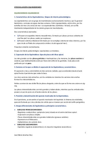 12.pdf