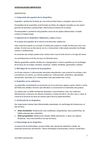 13.pdf