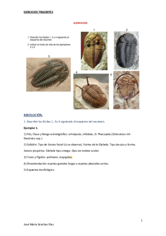 Ejercicios-Trilobites.pdf