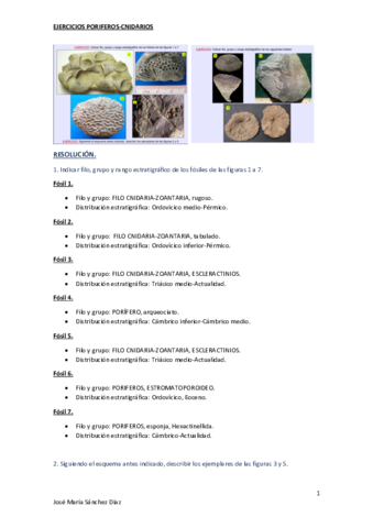 ejercicios-Poriferos-Cnidarios.pdf