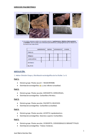 ejercicios-paleobotanica.pdf