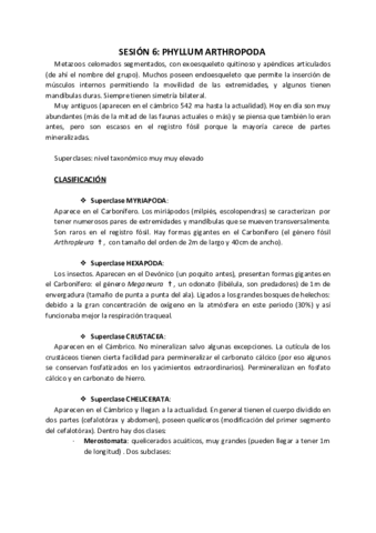 Práctica 6. Artrópodos