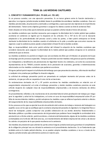 TEMA-16.pdf