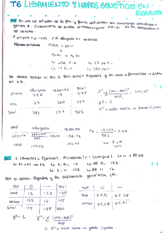 problemas-T6.pdf