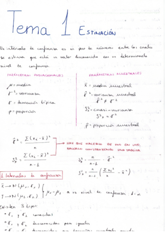 T1-apuntes.pdf