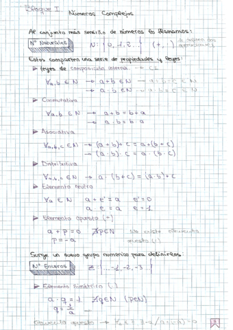 Teoria-Calculo-I-Numeros-Complejos.pdf