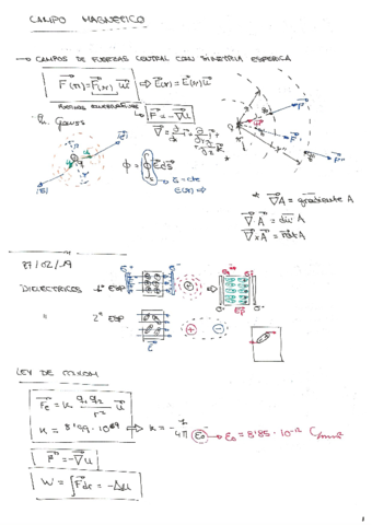 Teoria-Fisica-II-Campo-Magnetico2.pdf