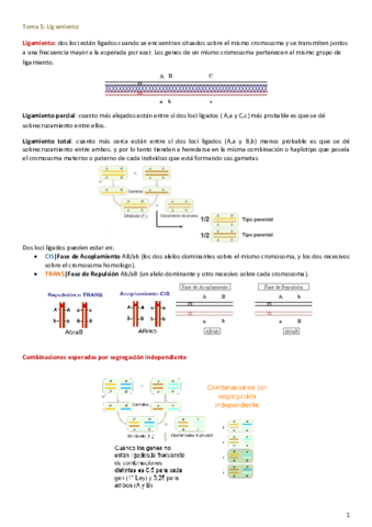 Genética 2 parcial.pdf