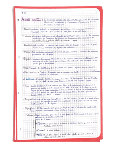 Aparato-Digestivo-.pdf