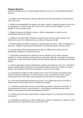 PreguntasTipo.pdf