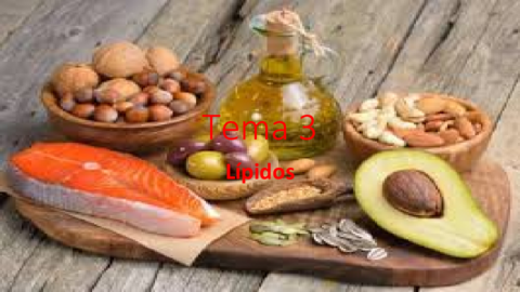 Lipidos.pdf