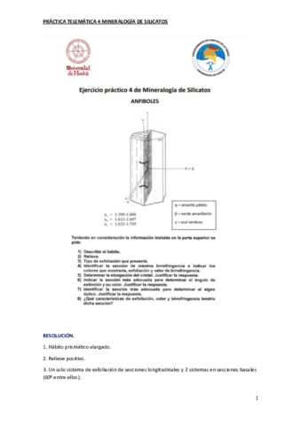 practica-telematica-4-anfibol-1.pdf