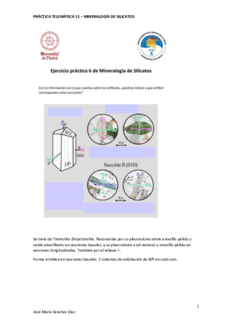 Practica-telematica-11-anfibol-4.pdf
