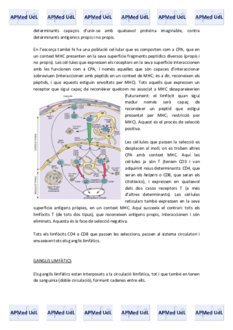 12 (II). Sistema immunitari.pdf