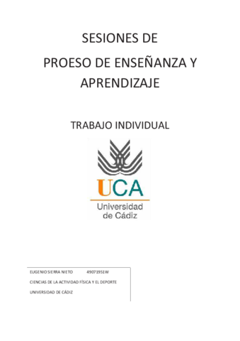 Trabajo Individual de Proceso y enseñanza.pdf