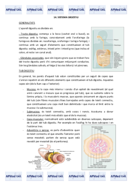 14 (I). Sistema digestiu.pdf